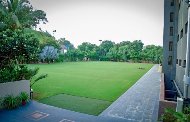 narayani - 12